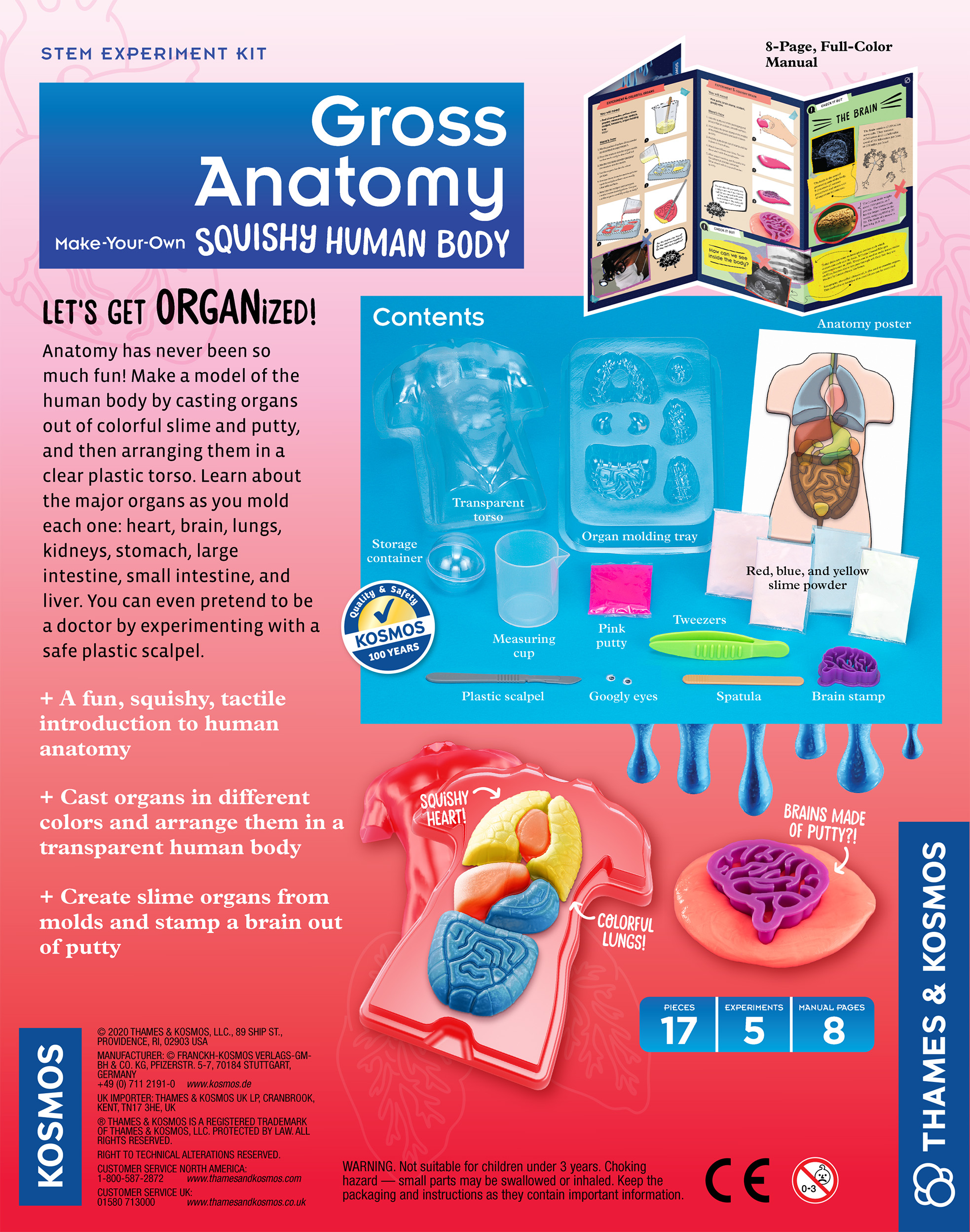 Gross Anatomy Product Image Downloads Biology Diagrams