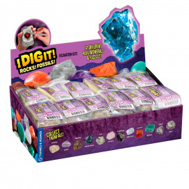 601607_IDIGIT_RocksFossils_display.jpg