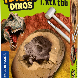 630065_TRex_Egg_3dbox.jpg