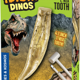 630492_TRex_Tooth_3dbox.jpg