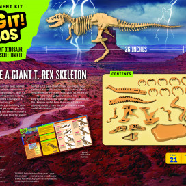 632120-Giant-Dino-Skeleton-boxback.jpg