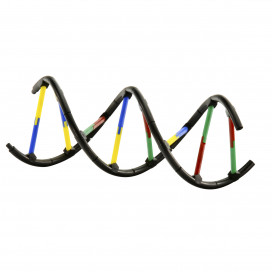 665002_geneticsdna_model.jpg